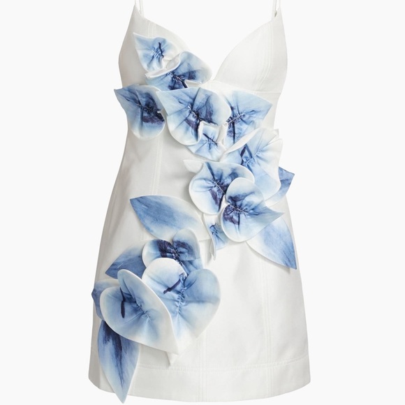 Acler Biblo dress